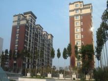 濰坊市和春住住宅樓，獲得2013年度濰坊市“優(yōu)質結構杯質量獎”